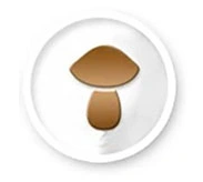 8759790f8a62572d7a4a774f11210ef4